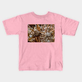 Spain. Toledo. Cathedral. El Transparente. Detail. Kids T-Shirt